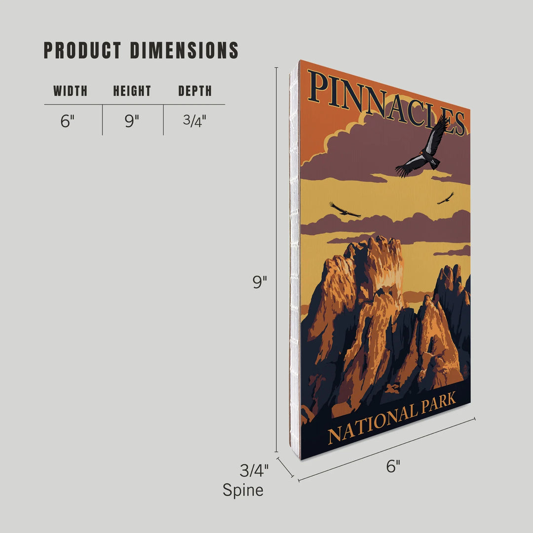 Lined 6x9 Journal, Pinnacles National Park, California, Condors, Lay Flat, 193 Pages, FSC paper