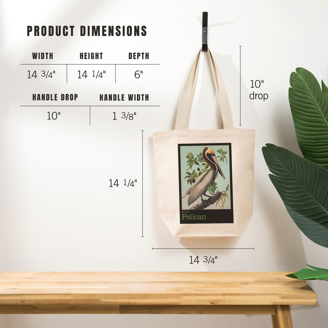 Audubon Birds, North America Brown Pelican, Tote Bag