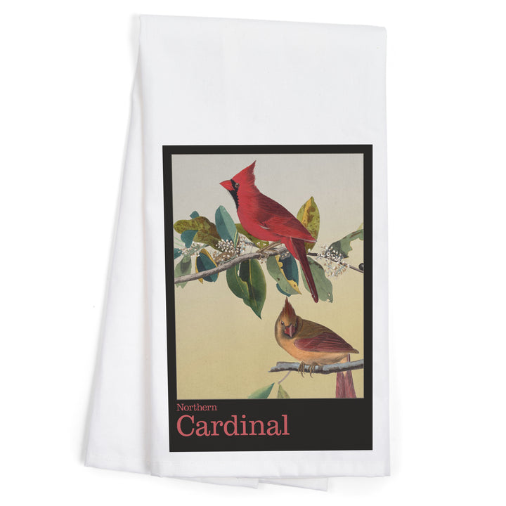 Audubon Birds of North America, Cardinal, Organic Cotton Kitchen Tea Towels