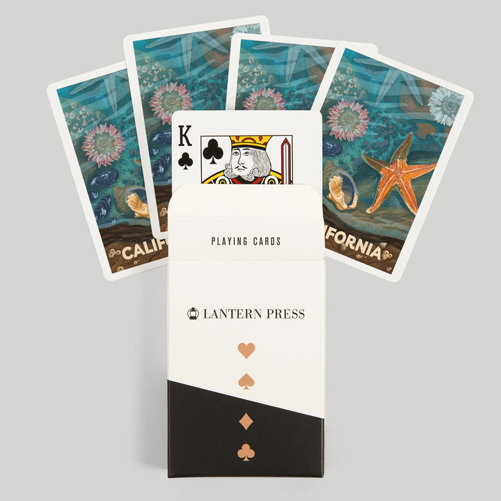 Playing Cards, California, Tiny World Huge Wonders, Coastal Series, Starfish and Shells, 52 Card Deck with Jokers in Box, Unique Art