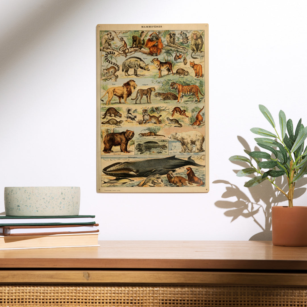 Mammals, D, Vintage Bookplate, Adolphe Millot, Wood Sign and Postcards