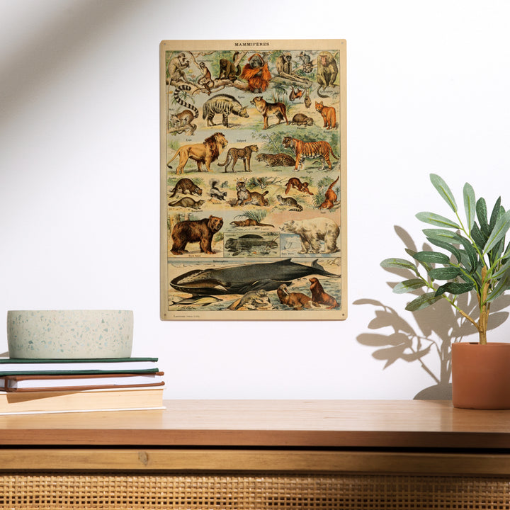 Mammals, D, Vintage Bookplate, Adolphe Millot, Wood Sign and Postcards