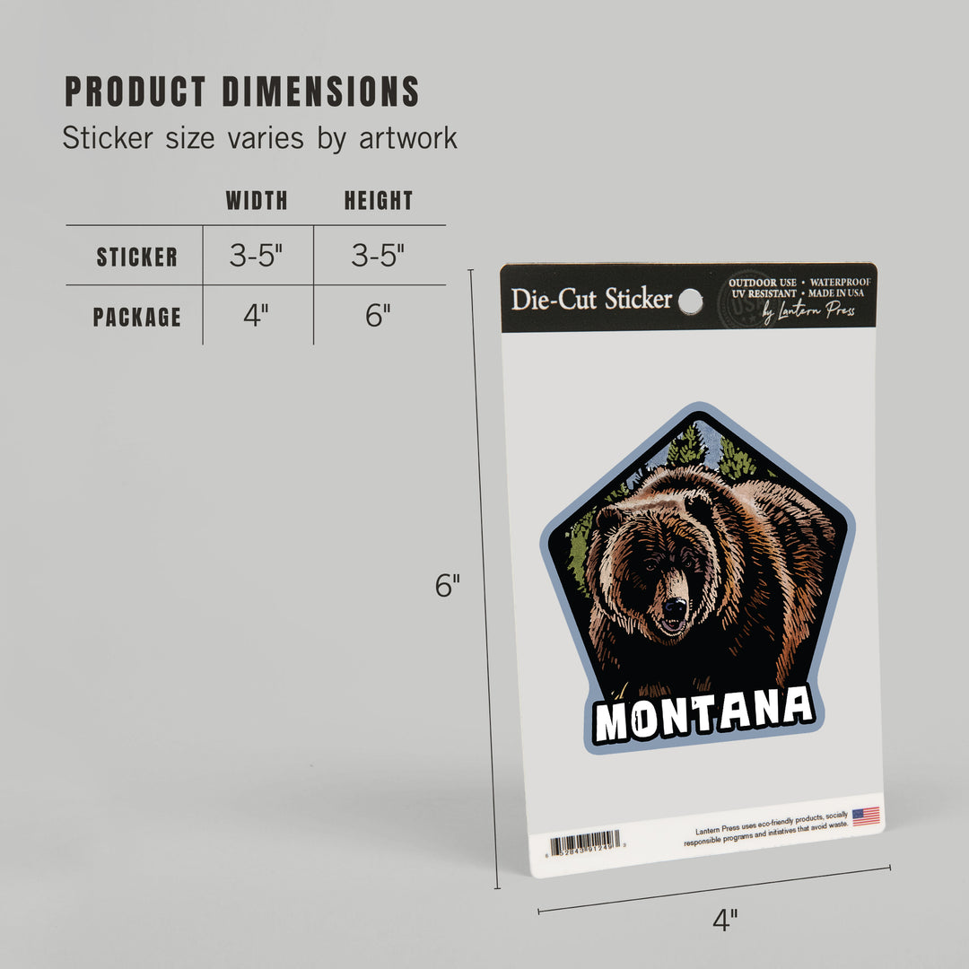 Montana, Grizzly Bear, Scratchboard, Contour, Lantern Press Artwork, Vinyl Sticker