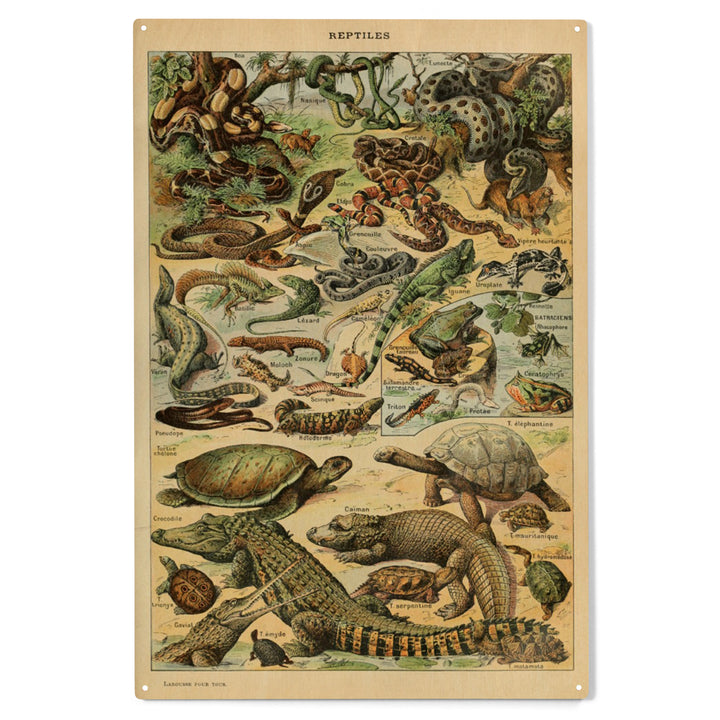 Reptiles, B, Vintage Bookplate, Adolphe Millot, Wood Sign and Postcards