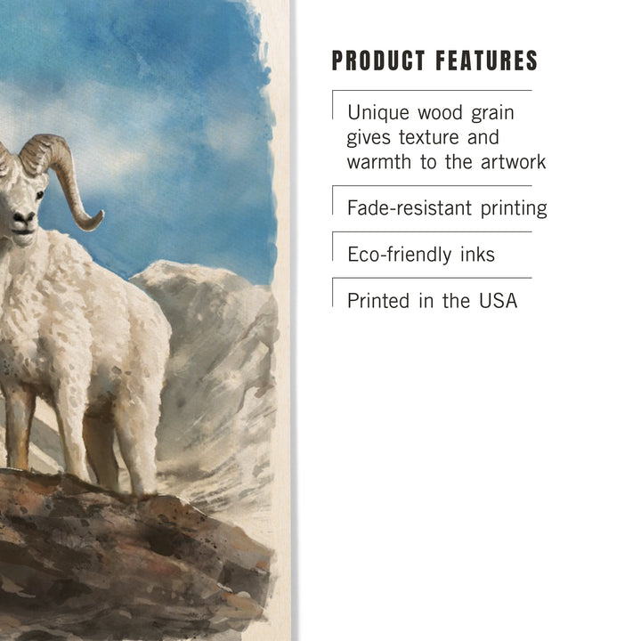 Watercolor Study, Dall Sheep, Wood Signs and Postcards