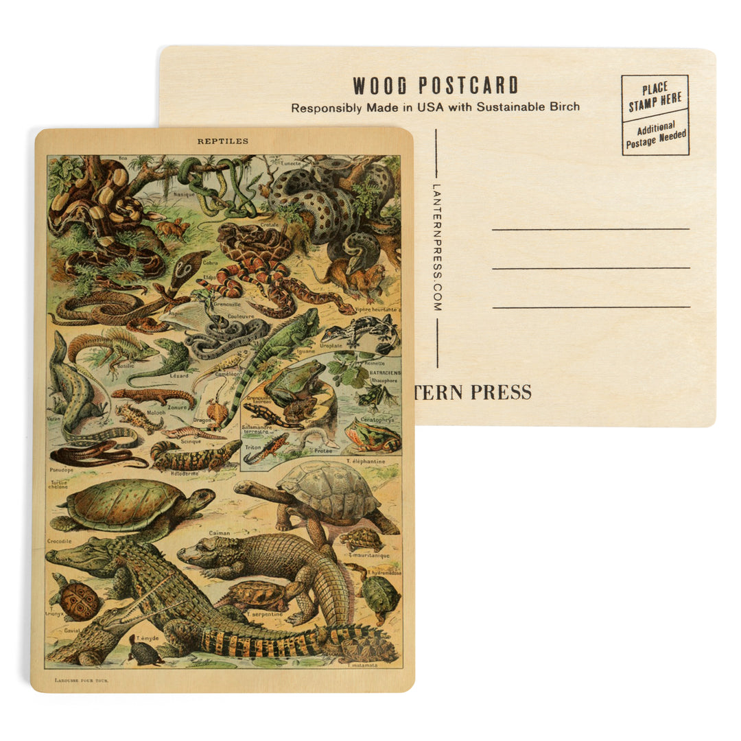 Reptiles, B, Vintage Bookplate, Adolphe Millot, Wood Sign and Postcards
