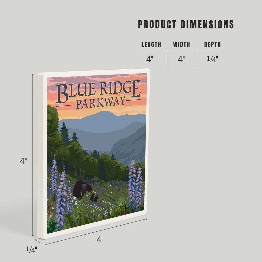 Blue Ridge Parkway, Virginia, Bear Family and Spring Flowers, Coasters