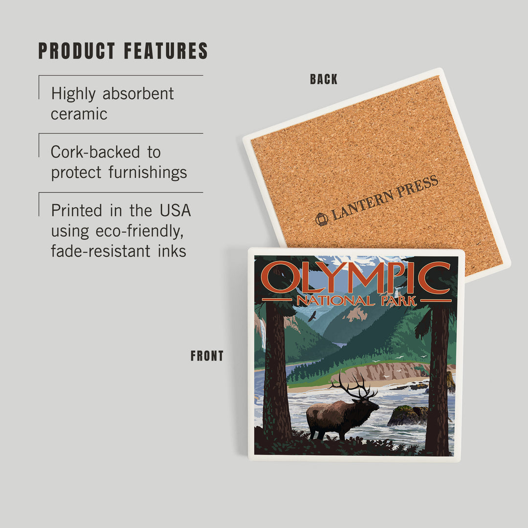 Olympic National Park, Washington, Grand Valley, Elk, Coasters