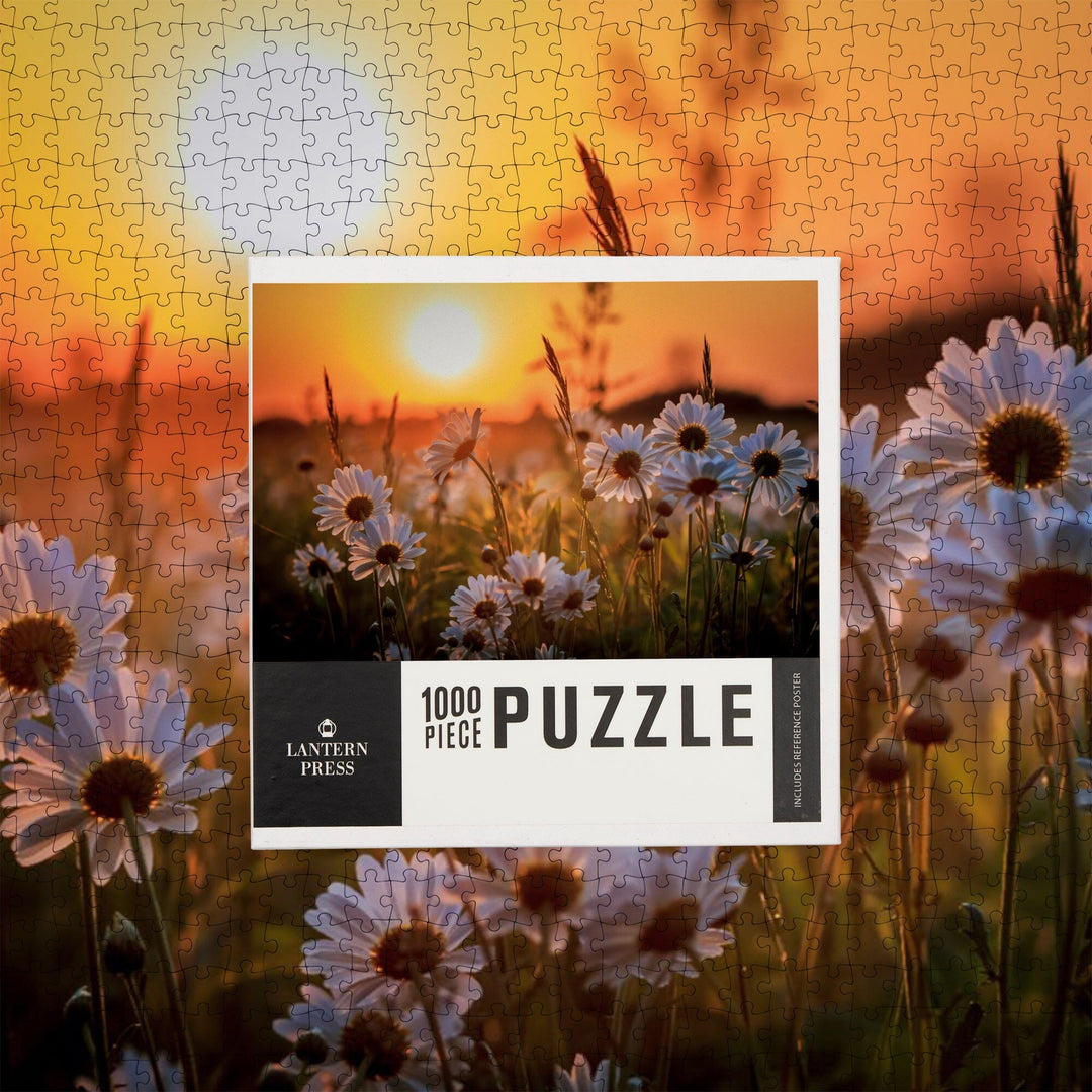 Daisy Flower Field at Sunset, Jigsaw Puzzle Puzzle Lantern Press 