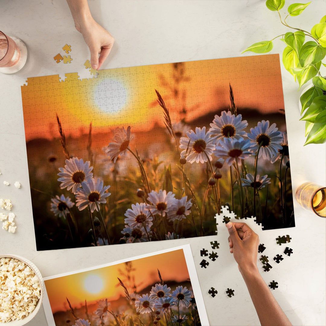 Daisy Flower Field at Sunset, Jigsaw Puzzle Puzzle Lantern Press 