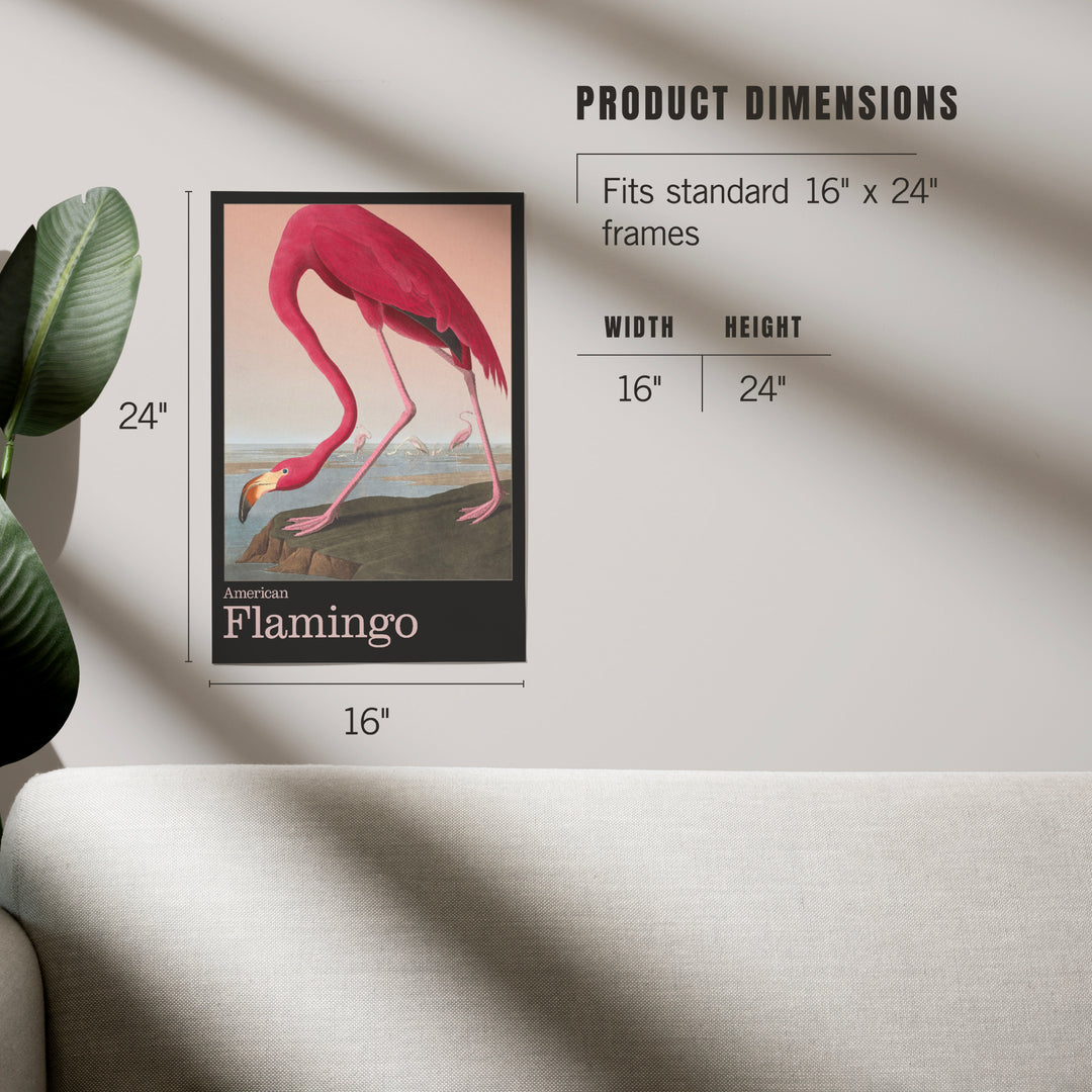 Audubon Birds of North America, Flamingo, Art & Giclee Prints