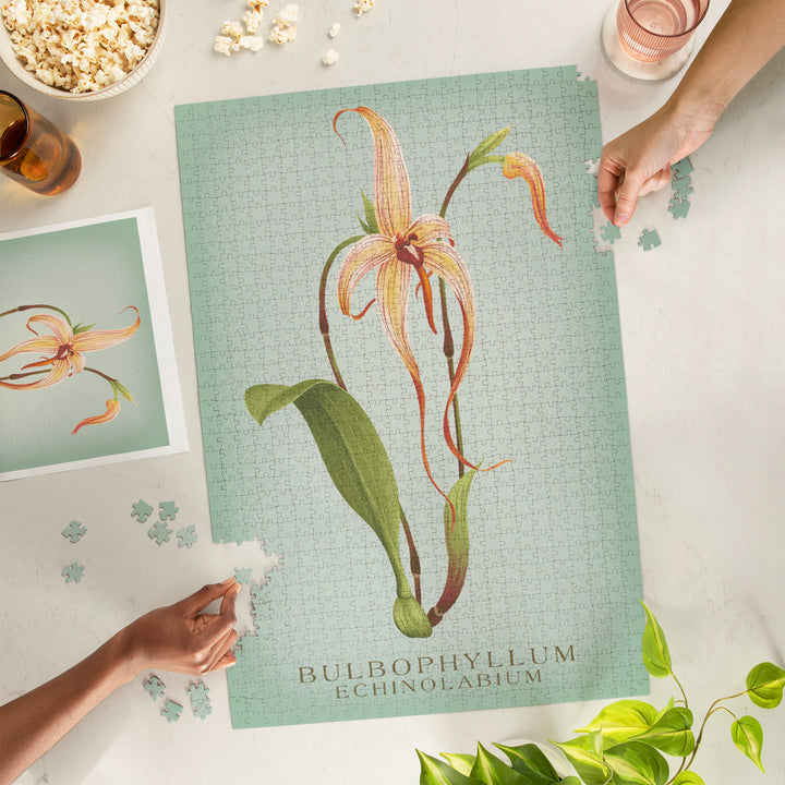 Bulbophyllum, Orchid, Vintage Flora, Jigsaw Puzzle