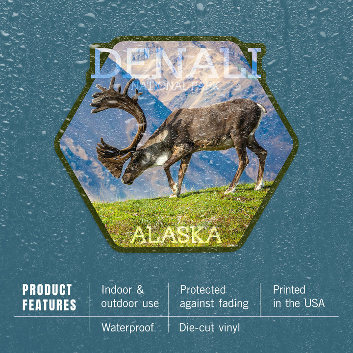 Denali National Park, Alaska, Caribou Bull, Contour, Vinyl Sticker