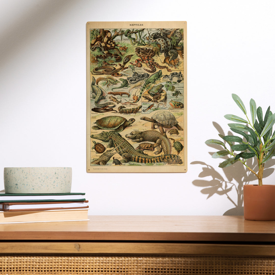 Reptiles, B, Vintage Bookplate, Adolphe Millot, Wood Sign and Postcards
