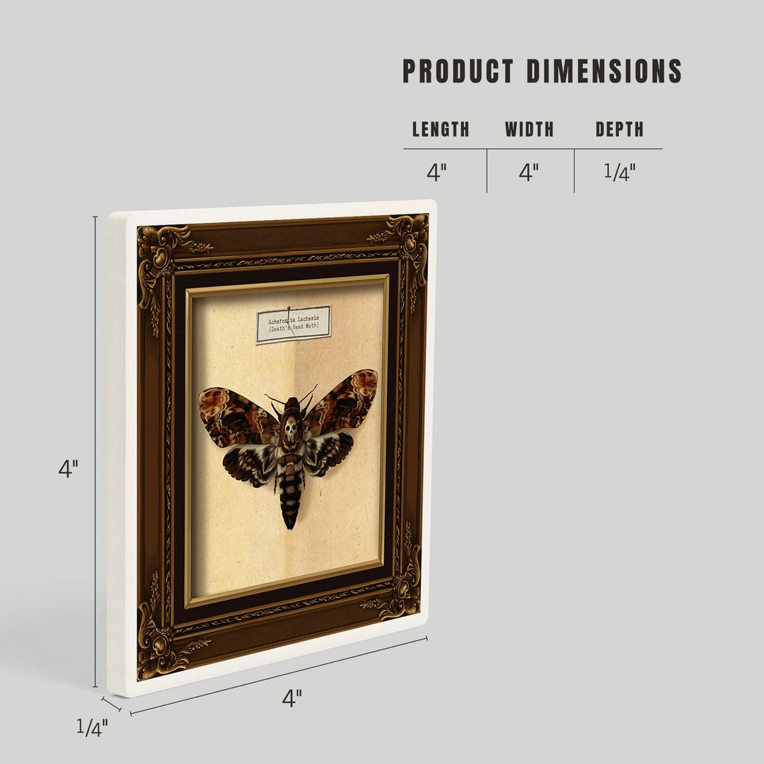 Death's Head Moth, Coasters Coasters Lantern Press 