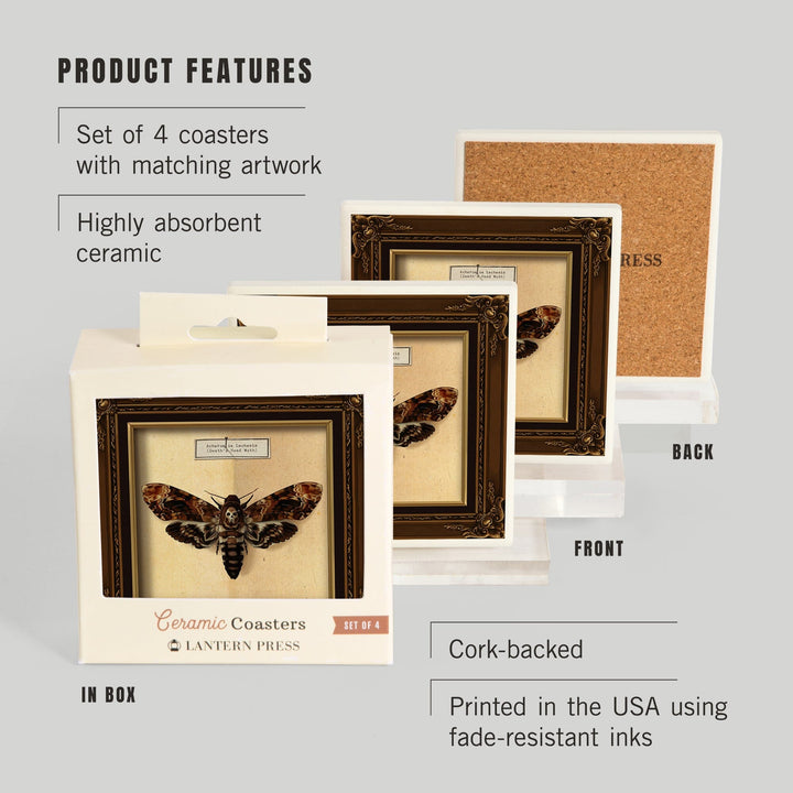 Death's Head Moth, Coasters Coasters Lantern Press 