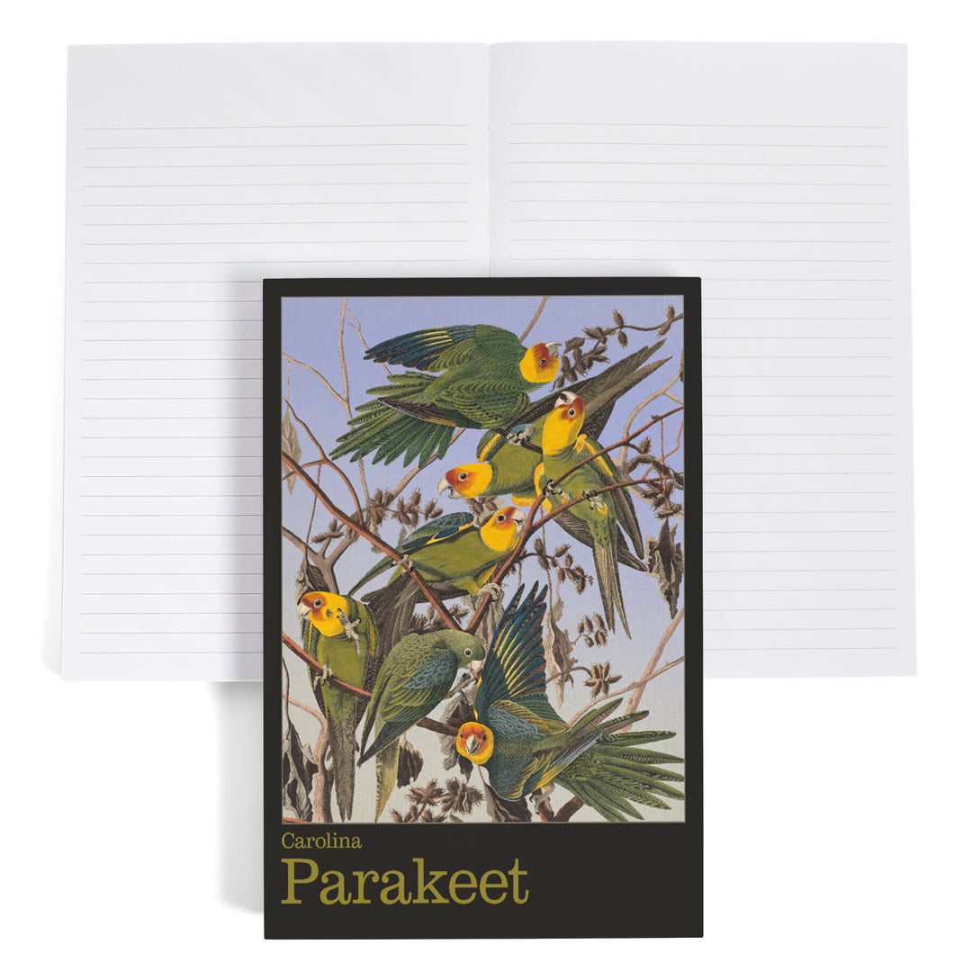 Lined 6x9 Journal, Audubon Birds of North America, Parakeet, Lay Flat, 193 Pages, FSC paper