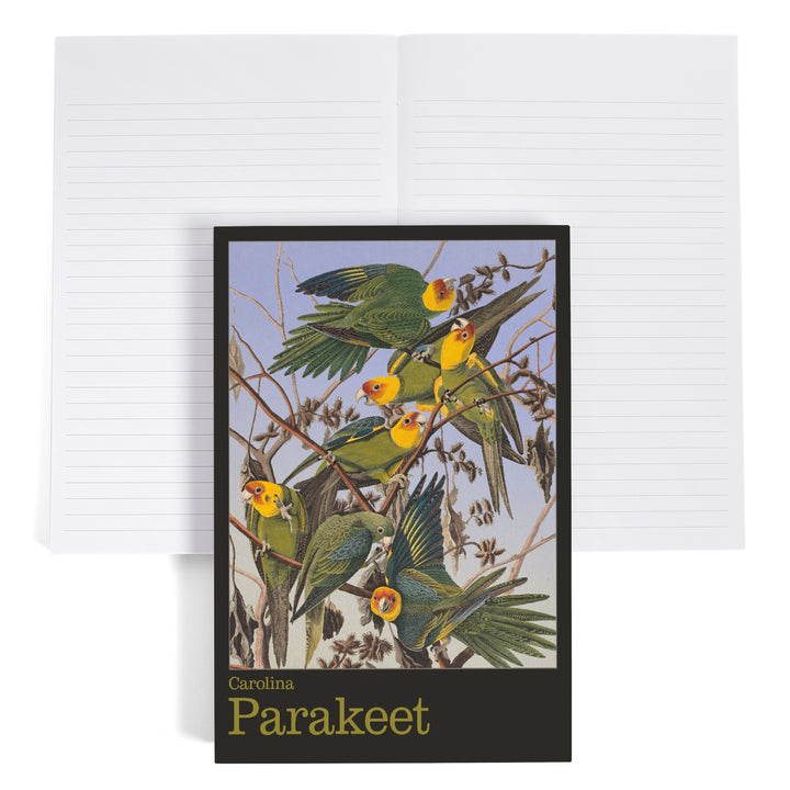 Lined 6x9 Journal, Audubon Birds of North America, Parakeet, Lay Flat, 193 Pages, FSC paper