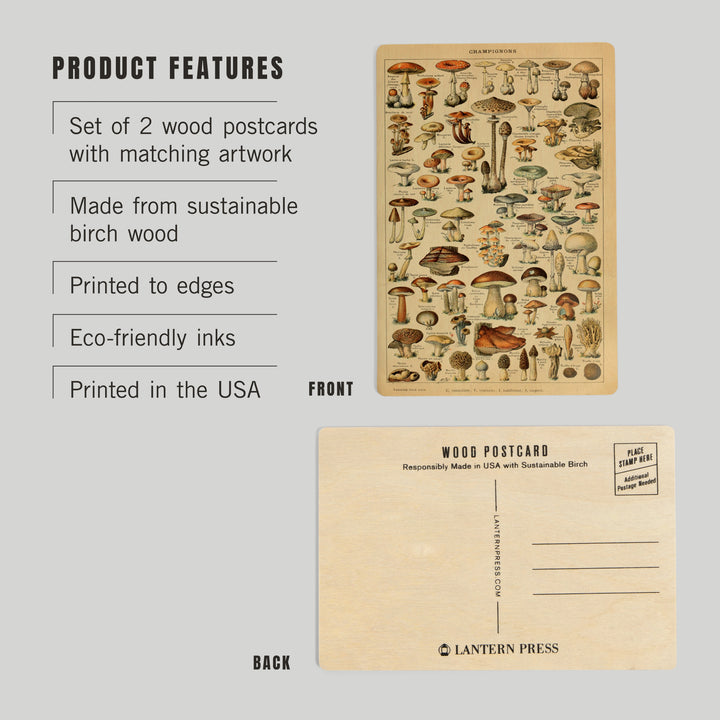 Mushrooms, C, Vintage Bookplate, Adolphe Millot, Wood Sign and Postcards