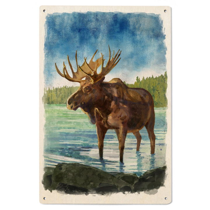 Watercolor Study, Moose, Wood Signs and Postcards