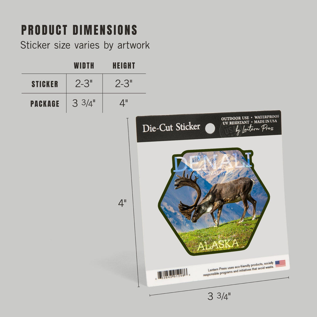 Denali National Park, Alaska, Caribou Bull, Contour, Vinyl Sticker Sticker Lantern Press 