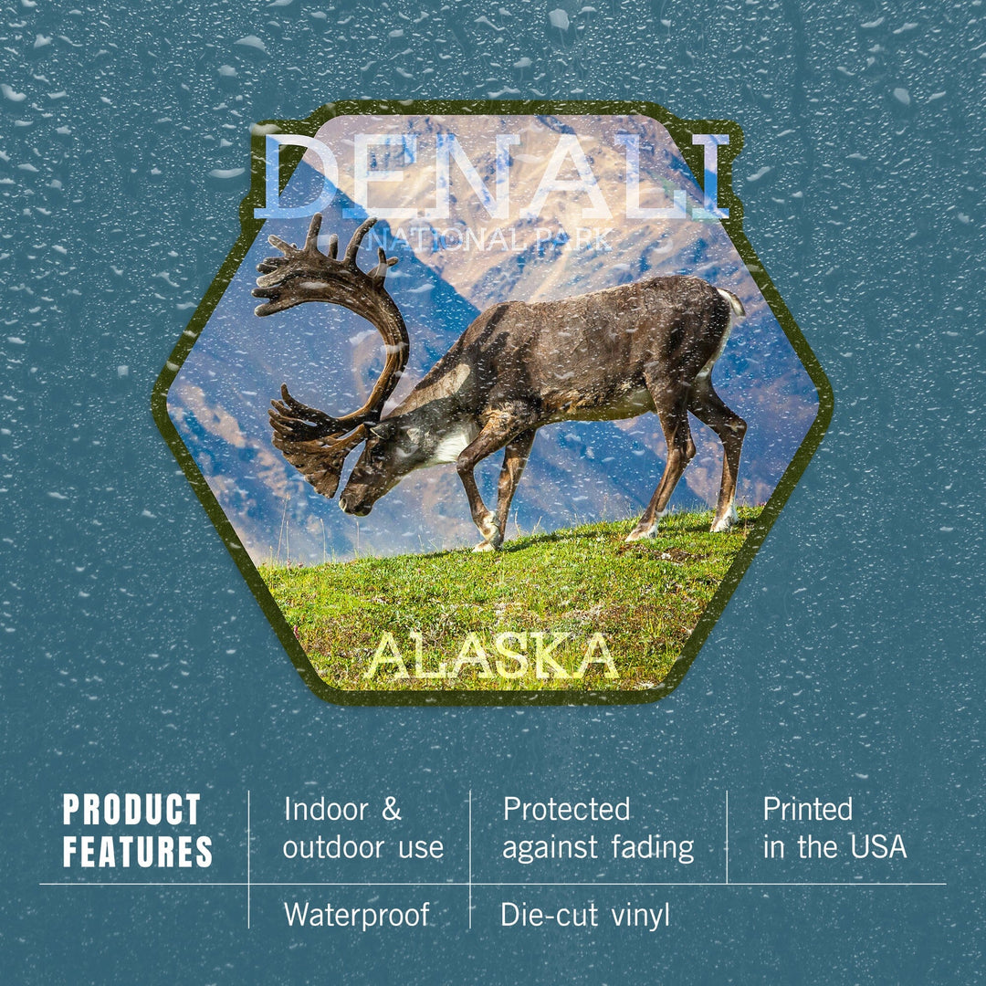 Denali National Park, Alaska, Caribou Bull, Contour, Vinyl Sticker Sticker Lantern Press 