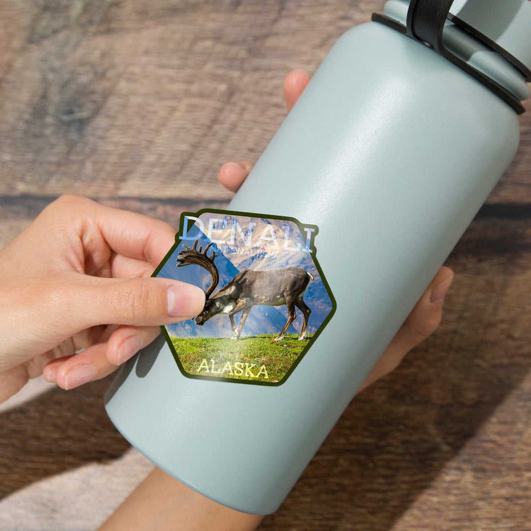 Denali National Park, Alaska, Caribou Bull, Contour, Vinyl Sticker Sticker Lantern Press 