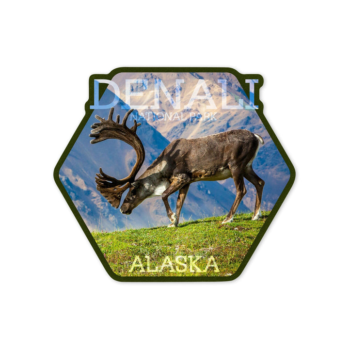 Denali National Park, Alaska, Caribou Bull, Contour, Vinyl Sticker Sticker Lantern Press 