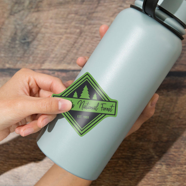 Deschutes National Forest, Oregon, Trees, Square, Contour, Vinyl Sticker Sticker Lantern Press 