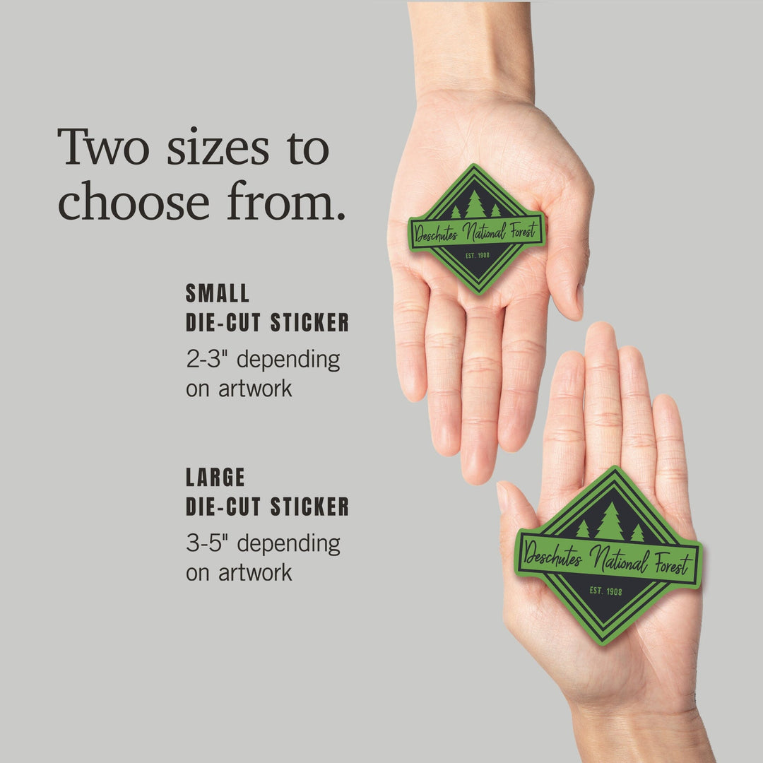Deschutes National Forest, Oregon, Trees, Square, Contour, Vinyl Sticker Sticker Lantern Press 