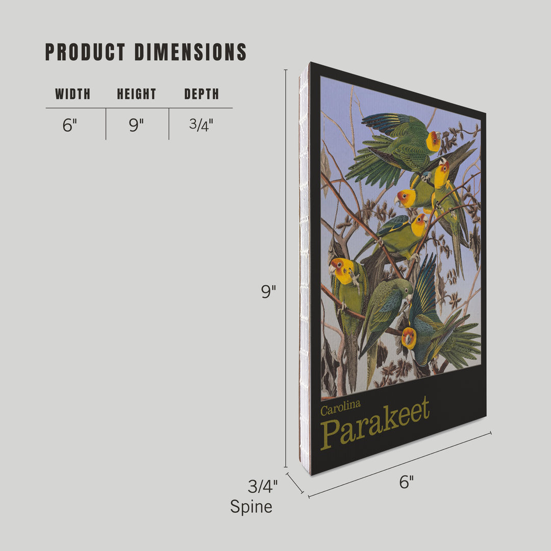 Lined 6x9 Journal, Audubon Birds of North America, Parakeet, Lay Flat, 193 Pages, FSC paper