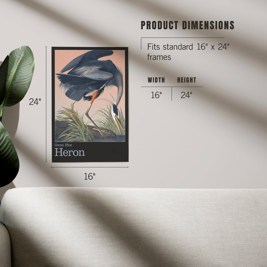 Audubon Birds of North America, Blue Heron, Art & Giclee Prints