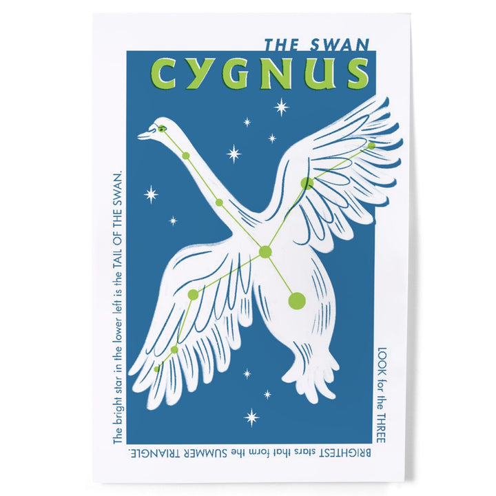 Drawings in the Stars Collection, Cygnus, The Swan Constellation, Art & Giclee Prints Art Lantern Press 