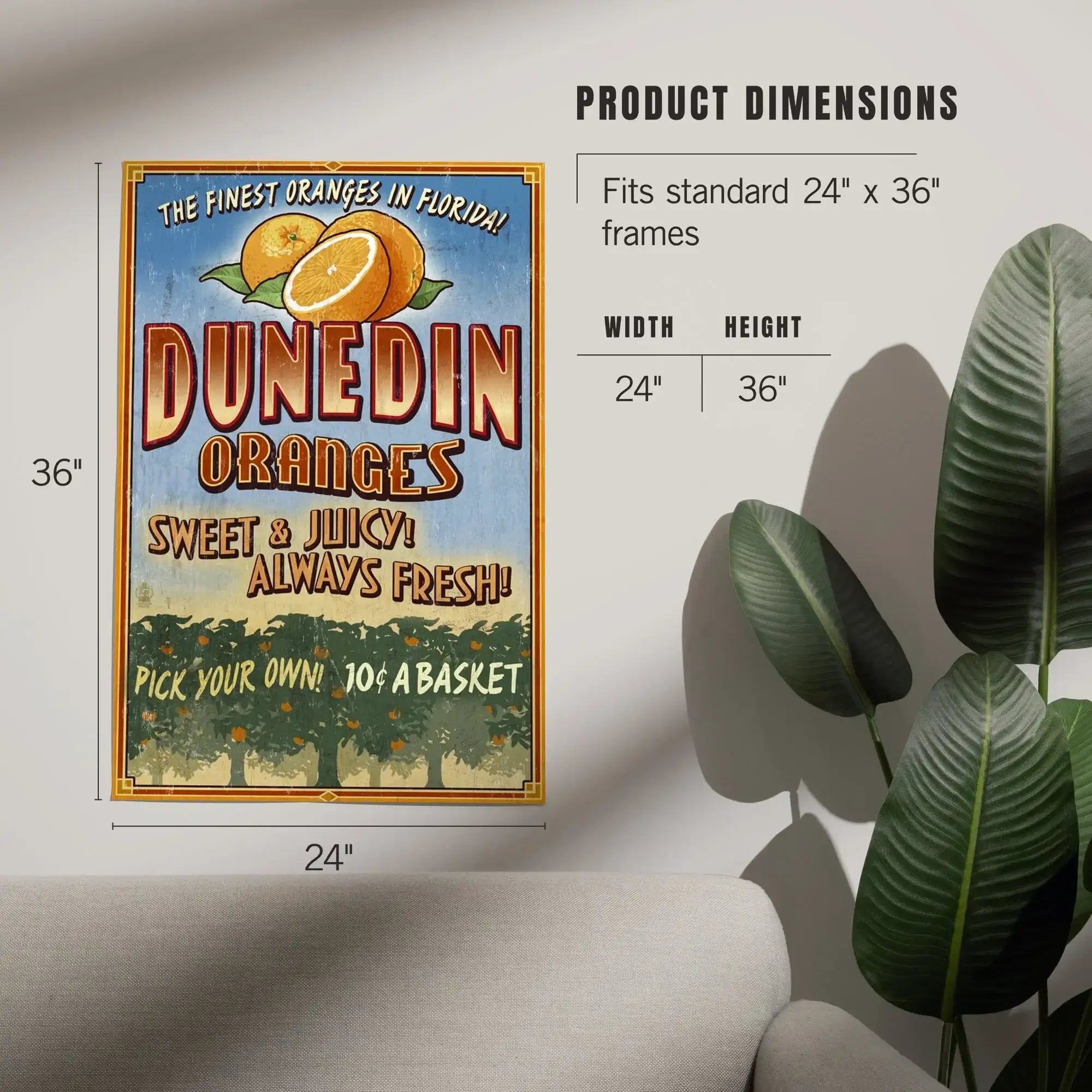 Dunedin, Florida, Orange Grove, Vintage Sign art prints, metal