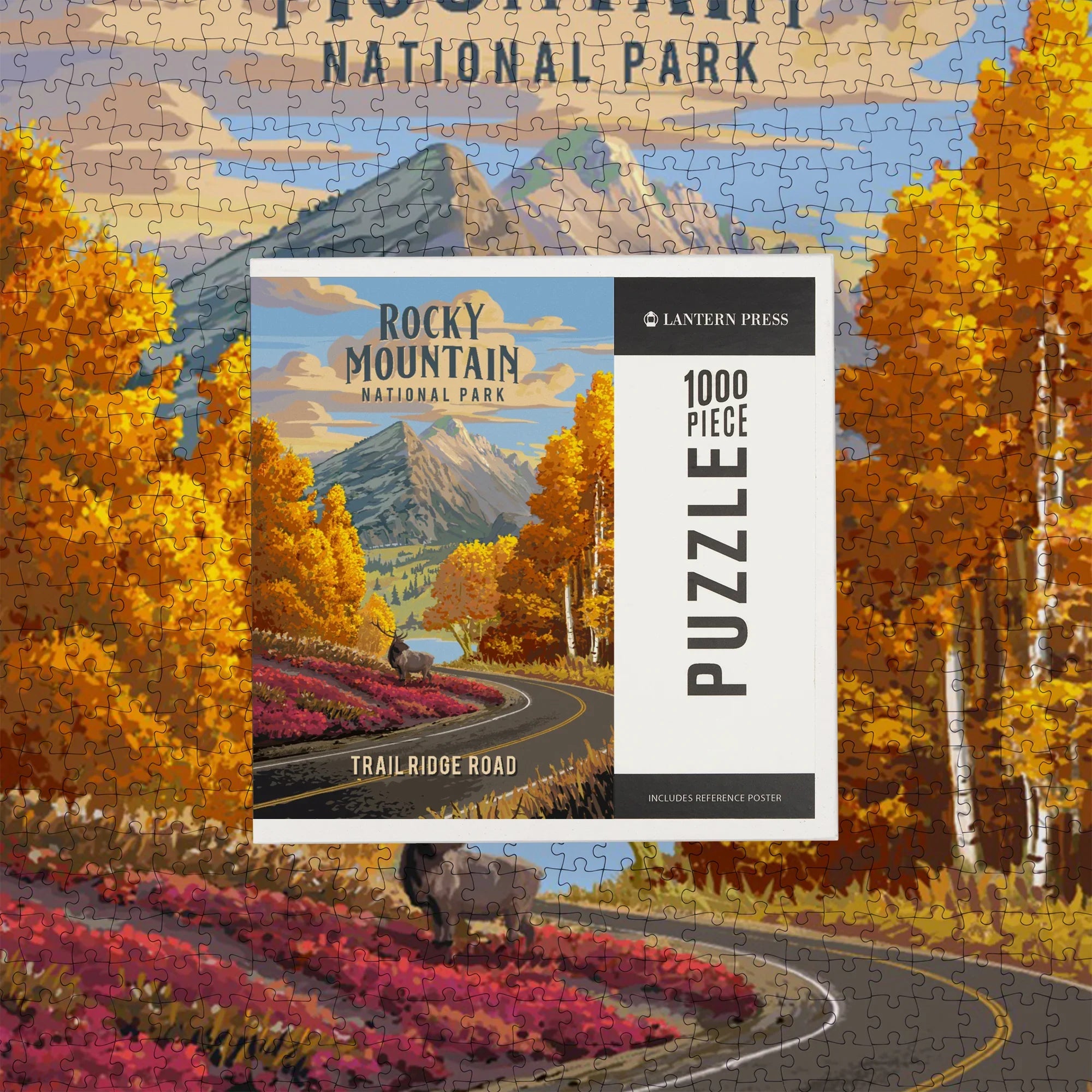 Rocky Mountain National Park, Colorado, Painterly, Trail Ridge