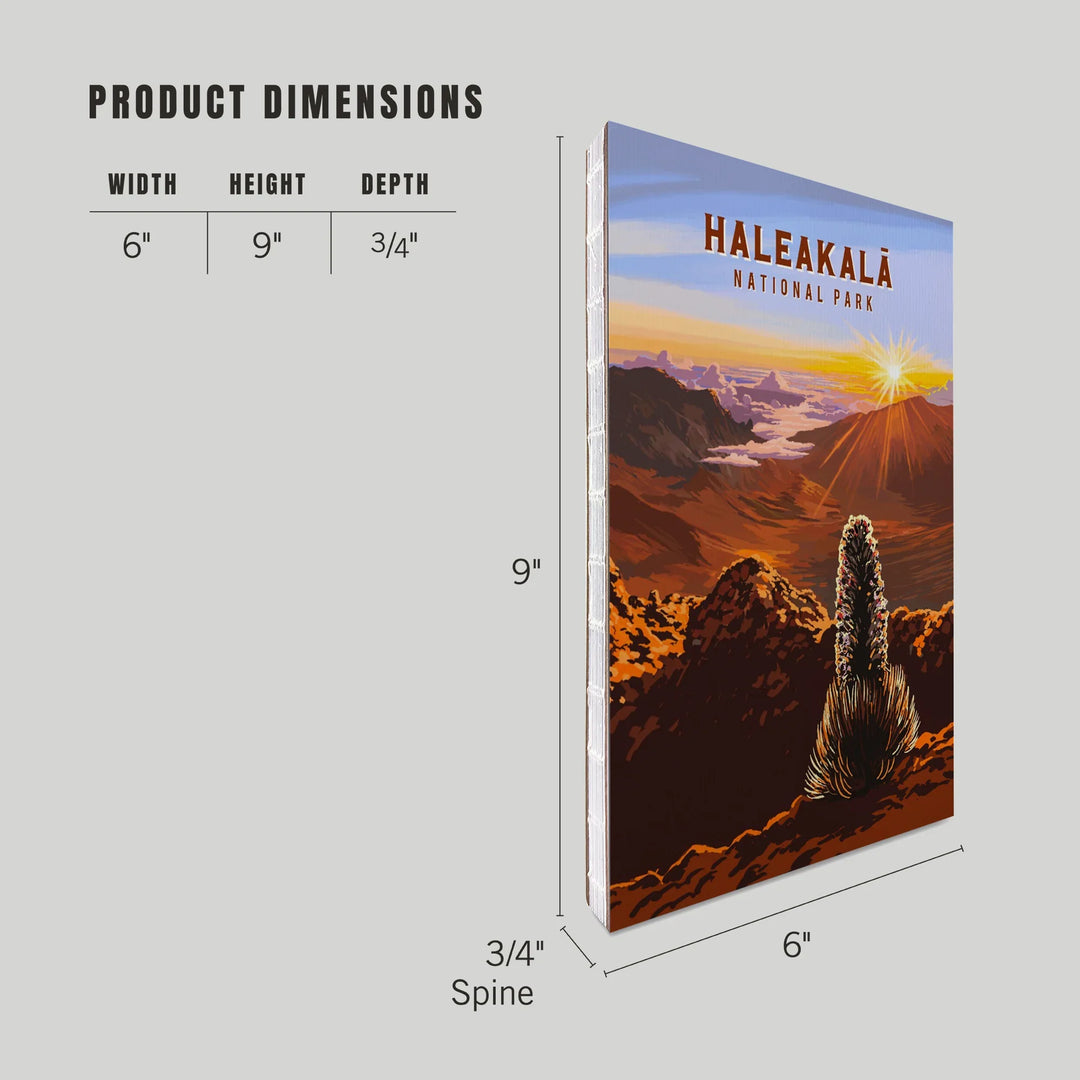 Lined 6x9 Journal, Haleakala National Park, Hawaii, Painterly Series, Lay Flat, 193 Pages, FSC paper