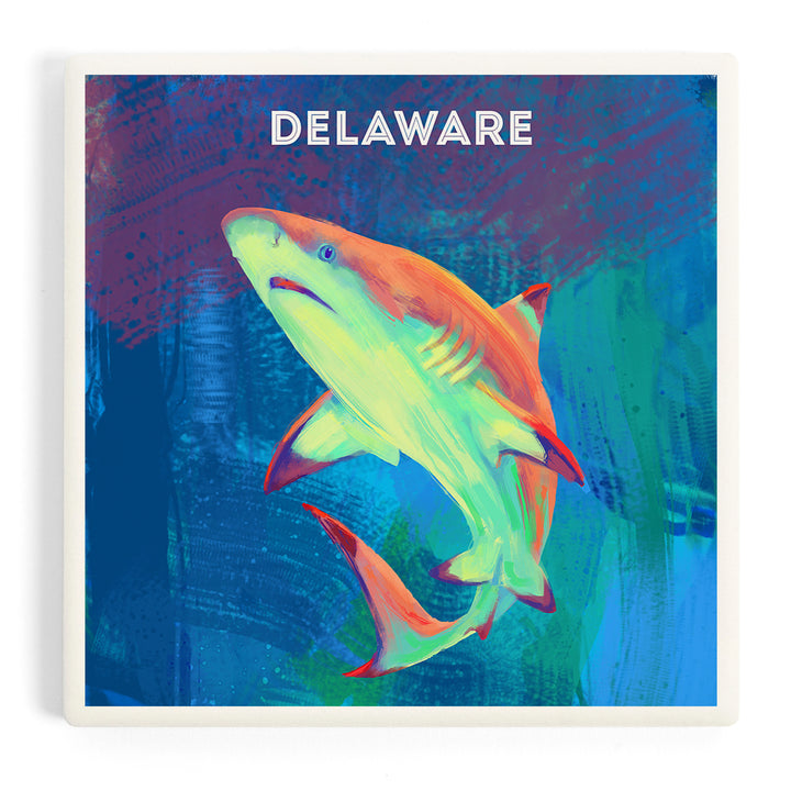 Delaware, Vivid, Blacktip Shark, Coasters