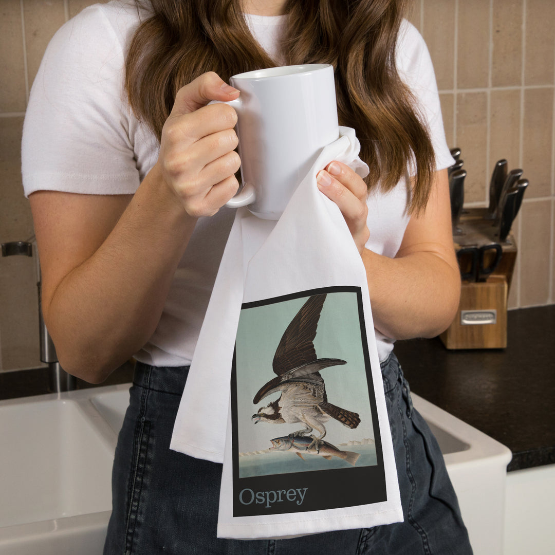 Audubon Birds of North America, Osprey, Organic Cotton Kitchen Tea Towels