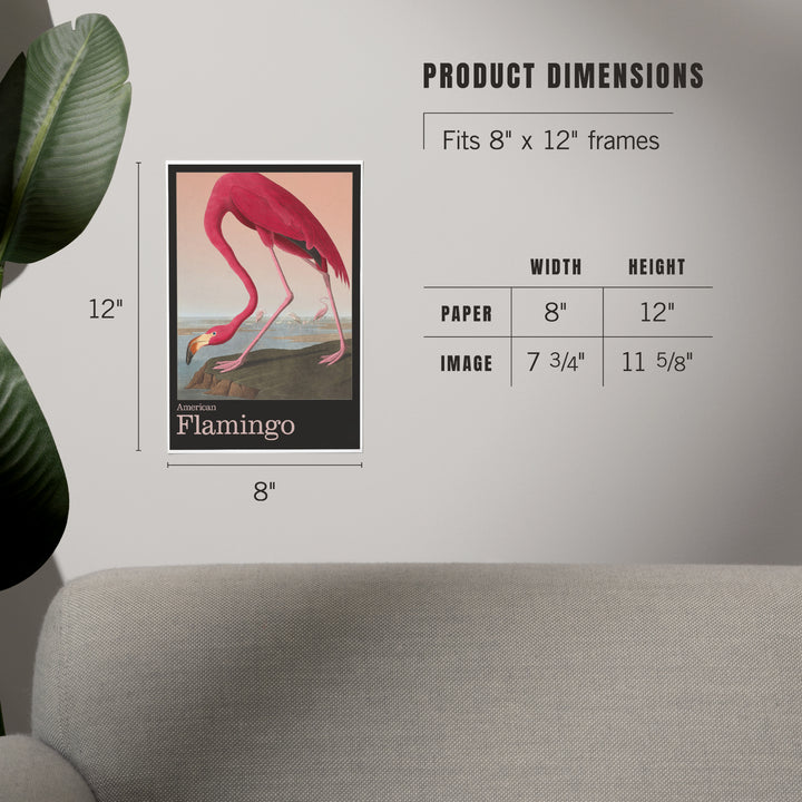 Audubon Birds of North America, Flamingo, Art & Giclee Prints