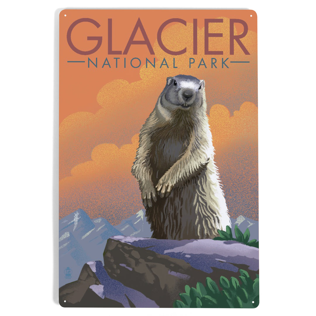 Glacier National Park, Montana, Marmot, Lithograph, Metal Signs