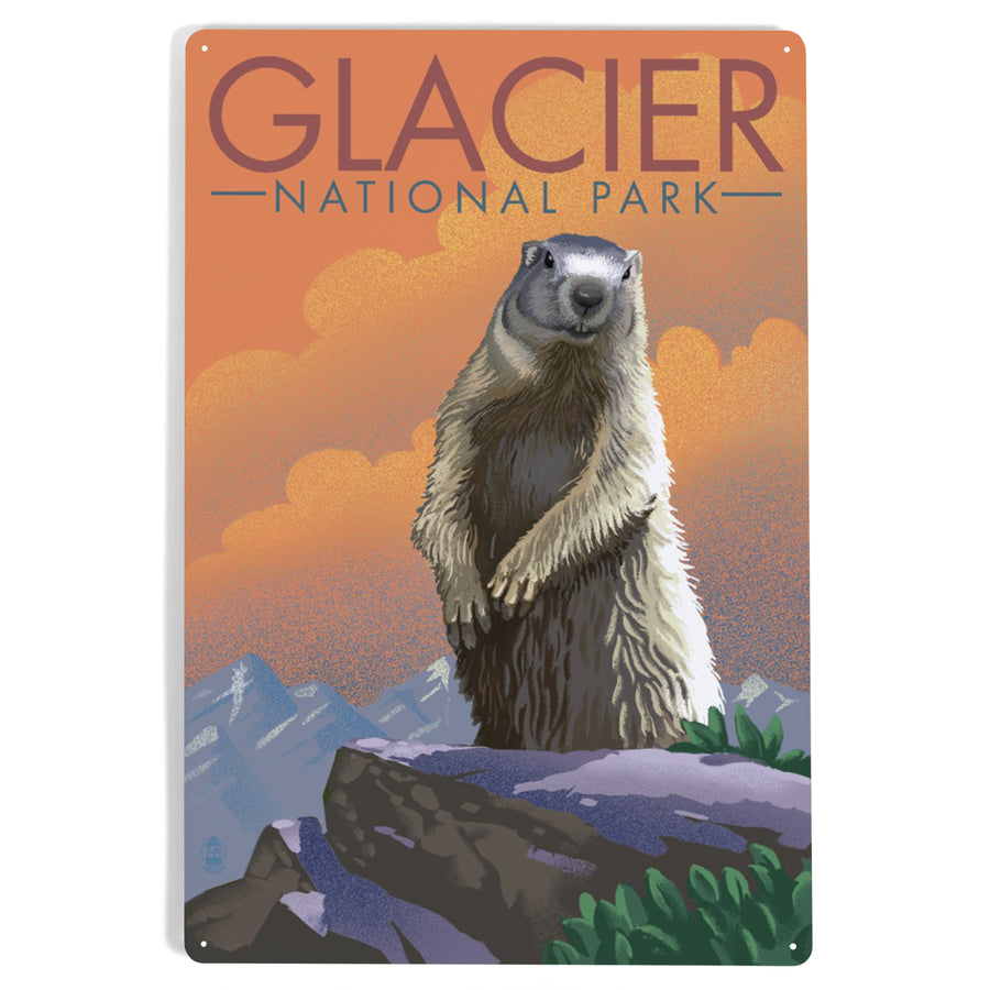 Glacier National Park, Montana, Marmot, Lithograph, Metal Signs - Lantern Press