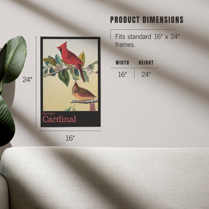Audubon Birds of North America, Cardinal, Art & Giclee Prints
