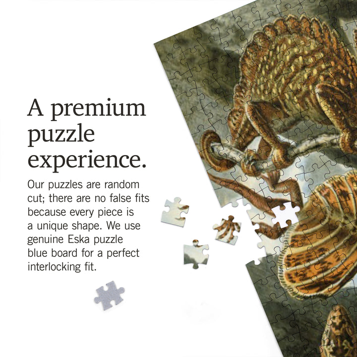 Ernst Haeckel, Lacertilia, 1000 Piece Jigsaw Puzzle