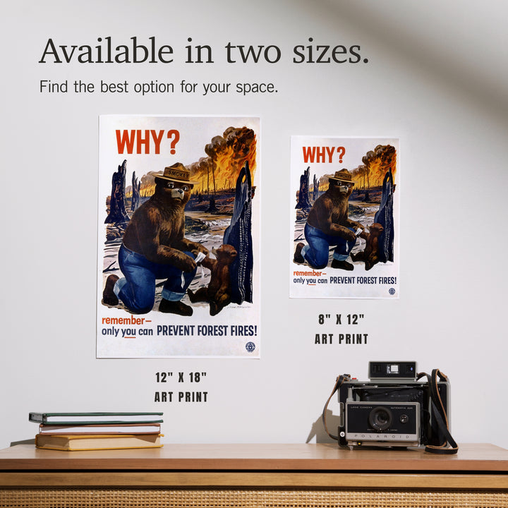 Smokey Bear, Why, Officially Licensed Vintage Poster, Art & Giclee Prints