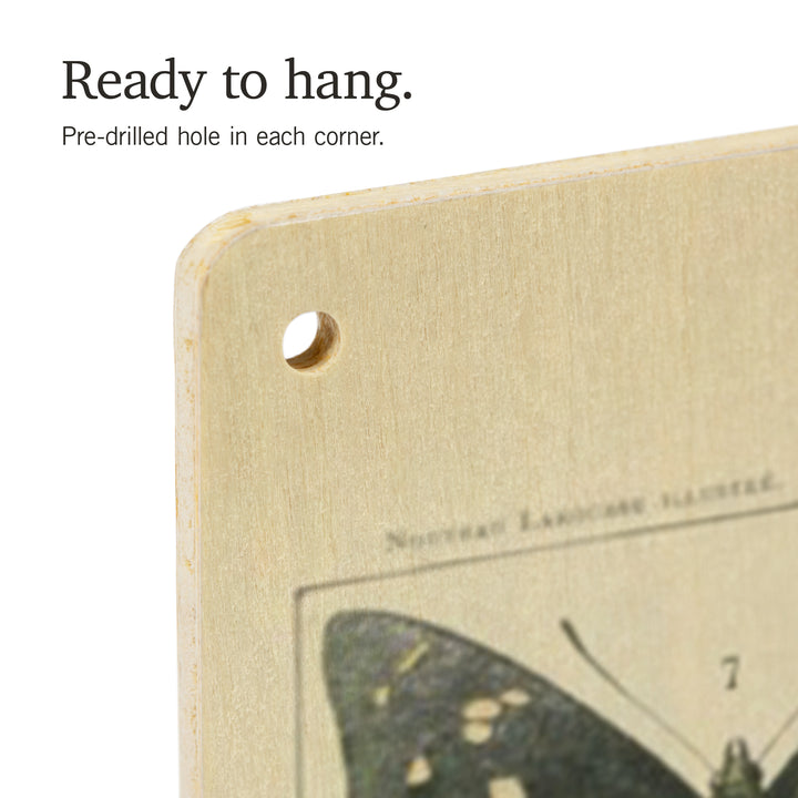 Butterflies, A, Vintage Bookplate, Adolphe Millot, Wood Sign and Postcards