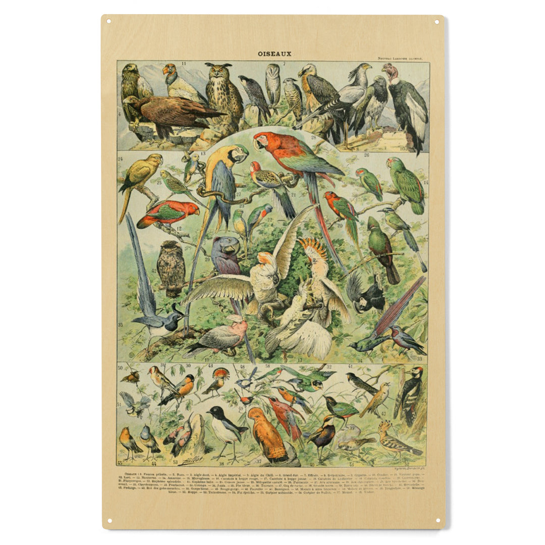Birds, A, Vintage Bookplate, Adolphe Millot, Wood Sign and Postcards