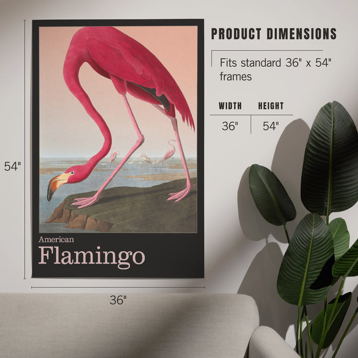 Audubon Birds of North America, Flamingo, Art & Giclee Prints