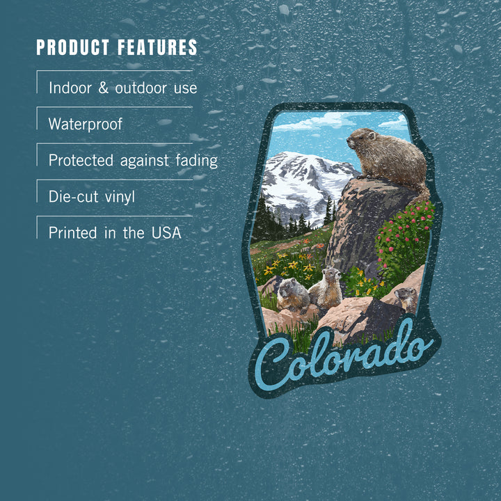 Colorado, Marmots, Contour, Lantern Press Artwork, Vinyl Sticker