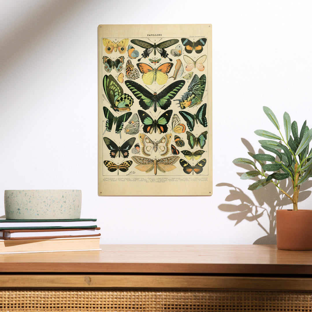 Butterflies, B, Vintage Bookplate, Adolphe Millot, Wood Sign and Postcards