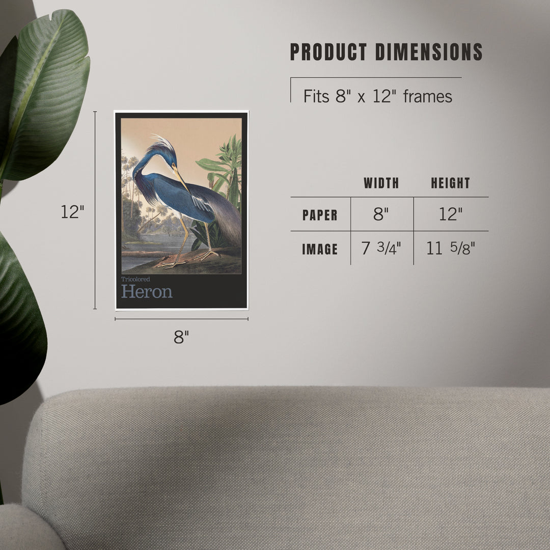 Audubon Birds of North America, Heron, Art & Giclee Prints